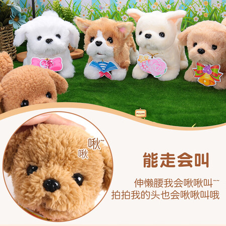 乐吉儿Q004怎么样？质量如何？