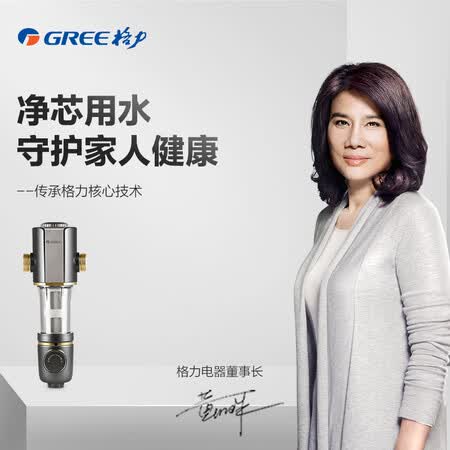 格力家用前置过滤器全屋中央净水器WTE-QZBW04怎么样?质量如何?