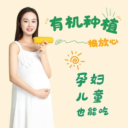 真实感受说说析芮 东北玉米糯玉米新鲜现摘黏粘糯玉米棒玉米粒穗真空装包白糯玉米 有机是不是真的啊？亲测好用！