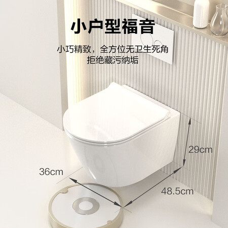 体验点评恩仕（AXENT） 小户型家用Oli壁挂式马桶嵌入式墙排直冲隐藏水箱马桶座便器使用评测真的好吗？分享两周感受分享！