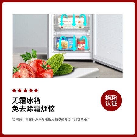 格力晶弘 226升双门冰箱怎么样?有谁用过?
