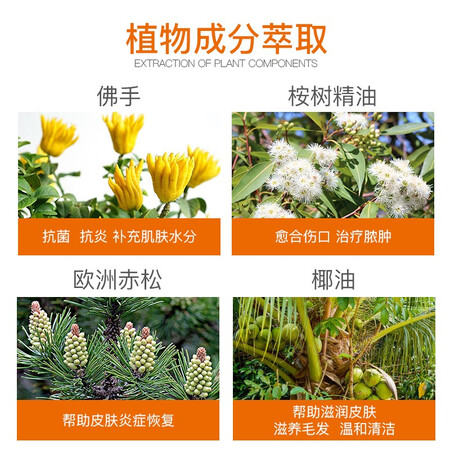高手揭秘普安特狗狗猫咪宠物皮肤病沐浴露猫癣狗藓真菌螨虫瘙痒皮屑巴是不是真的啊？一定看看了解！