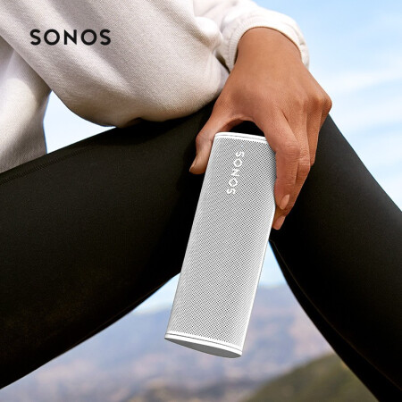 SONOSRoam SL S27优缺点分析参考_http://www.meifudie.com_好物_第3张