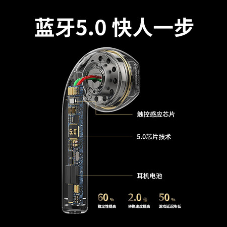 蜂翼t11s和t12哪个好?区别是什么?