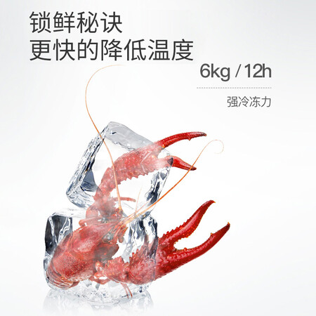 长虹555升对开门双开门电冰箱怎么样？质量好吗？