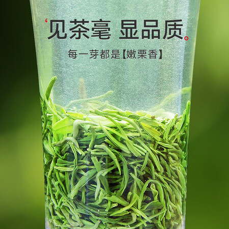 已经入手解密乐品乐茶 毛尖绿茶2022雨前新茶特级浓香型春茶嫩芽散装真实体验爆料？吐槽两个月心得分享！