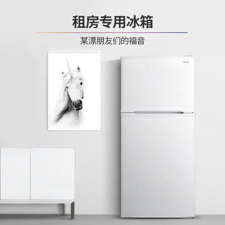华凌113升 双开门迷你电冰箱怎么样?质量如何?
