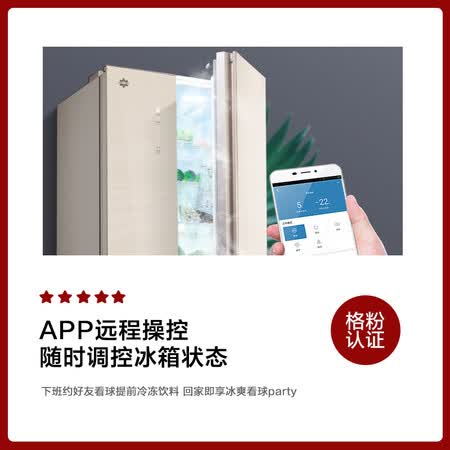 格力晶弘456升对开玻璃门冰箱怎么样?评测好吗?