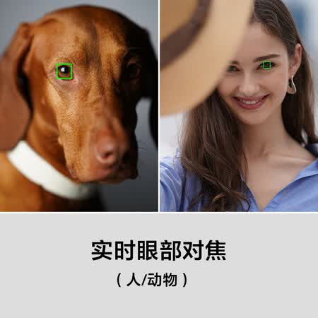 索尼ilce-7rm4与佳能eosr5哪个好?区别有没有?