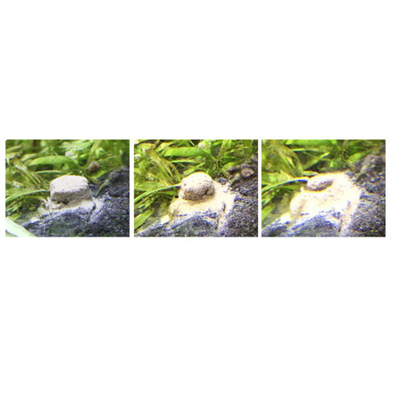 用后体验感受森森鱼缸净水剂药水除藻剂水族箱清洁水质硝化细菌 硝亚灵一瓶（60片）使用感受如何呢？你不知道的秘密在这里！！