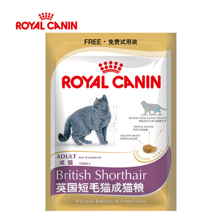 首度评测体验皇家英国短毛猫成猫好不好用？使用二星期真相分享！