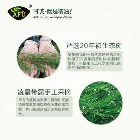 图文评测详情如何阿芙AFU茶树精油10ml 疏通紧致毛孔 呵护痘肌淡化痘印究竟如何呢？质量很好是真的？！