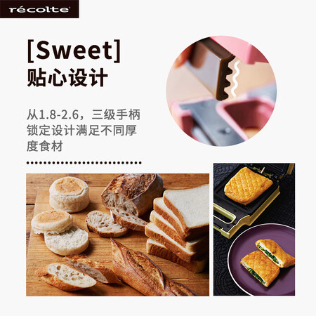 丽克特RPS-1(PK)怎么样?是品牌吗?