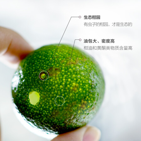 吉普号 小青柑普洱茶熟茶 一品青柑 新会天马柑 布朗宫真实感受质量_http://www.meifudie.com_好物_第4张
