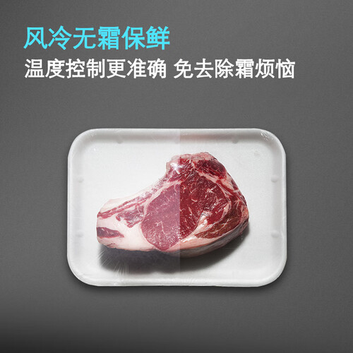 西门子BCD-271W(KG28NV230C)怎么样?评价好吗?