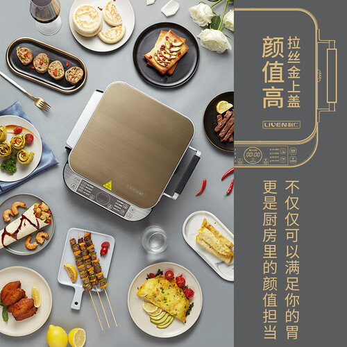 利仁LR-FD431怎么样?质量好吗?