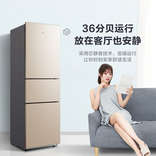 小天鹅BCD-219TL怎么样?测试如何?