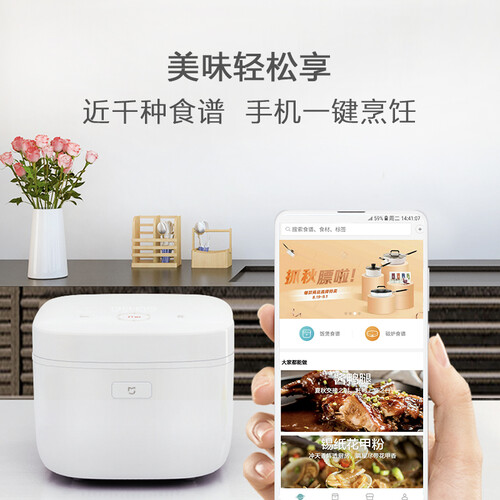 米家米家IH电饭煲怎么样？评价如何？