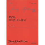 舒伯特即兴曲音乐瞬间