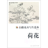 荷花-白描花卉写生范本