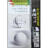 少年儿童美术培训专用教材系列丛书：素描单个石膏几何何写生教程（12岁-18岁）