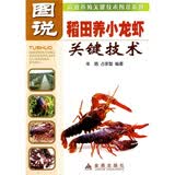 图说稻田养小龙虾关键技术