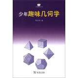 小企鹅趣味科学丛书：少年趣味几何学