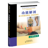 西方现代临床按摩系列·功能解剖：肌与骨骼的解剖、功能及触诊