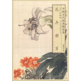 中国古代绘画精品集：任伯年花卉册页