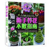 新手养花不败指南 103种沾土就活的植物，再也不当“园艺杀手”
