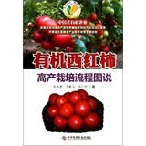 有机西红柿高产栽培流程图说