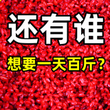 柏羽酒米打窝料鲫鱼钓鱼用饵料野钓黑坑通杀鲤鱼草鱼底窝鱼食四季通用 泡酒米300g*5包