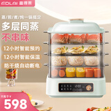 富得莱电蒸锅电煮锅大容量家用蒸锅一体多功能电蒸箱蒸笼锅多层蒸汽锅多用途锅 薄荷绿两层蒸笼豪华款