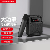 纽曼MS19小蜜蜂无线扩音器教师专用喇叭导游腰挂蓝牙音箱迷你便携式促销讲课教学喊话器大音量带手持麦