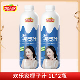 欢乐家 大瓶椰子汁 果肉型植物蛋白饮料 椰奶椰汁饮品 宴席聚会饮品 【2瓶】椰子汁1L*2瓶