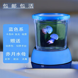 水母活物发光杯好养迷你无毒礼物观赏小型小宠物桌面宝宝赤月海月 蓝色发光套餐+2只赤月水母