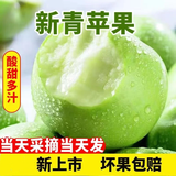 臻亦尚现摘青苹果新鲜水果脆甜苹果应季酸甜多汁孕妇苹果 精选好果 1000g