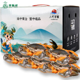 【活蟹】掌昕鲜三门青蟹 全母蟹（5-6两/只）5只 生鲜活螃蟹海鲜水产送礼盒装源头直发