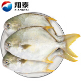 翔泰 冷冻海南金鲳鱼1.2kg /3-4条  海鱼  生鲜鱼类  海鲜水产