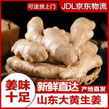 鲁韵忆乡【产地直发】山东潍坊大姜生姜干姜老姜农家自种 新鲜蔬菜 精选大姜 2斤
