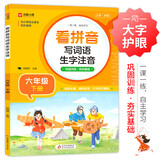 小学生看拼音写词语生字注音 六年级下册 与小学语文教材课本同步使用 巩固训练 夯实语文基础 语文生字词一课一练 自主学习 彩色印刷 大字 宽行距