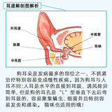 当天发】硼酸冰片猫狗滴耳液洗耳液耳炎清洁除异味狗狗猫咪耳螨 1包（棉签）