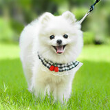 阿莫尔宠物狗狗花边牵引绳胸背带狗绳博美泰迪比熊遛狗绳小型幼犬狗链子 灰色（加绳子） M-大型(9-18斤)