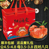 【活蟹】阳澄靖壹大闸蟹 现货鲜活大螃蟹公母蟹 海鲜水产生鲜礼盒 公4.5-4.8两母3.5-3.8两4对8只