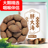 养益君 胖大海60g 【约35颗】严选精品广西原产大海子大洞果大海榄润糖喉茶泡水 冲泡养生茶