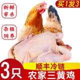 王氏正德鸡 鸡肉生鲜 三黄鸡3只 农家散养土鸡走地鸡童子鸡新鲜冷冻白条鸡 三黄鸡 700-750g *3只 带料包