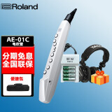 罗兰（Roland）罗兰电吹管电萨克斯SA 自带音源扬声器 AE01C+包+ 充电电池+配件包