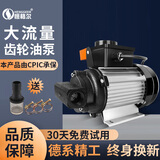 恒格尔电动抽油泵12V24V220V伏油泵柴油抽油机抽油器加油机加油泵抽油泵 220V550W抽油泵（齿轮油机油）