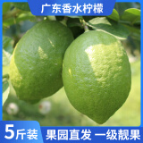 粤品【香水柠檬】广东香水柠檬 无籽海南香水青柠檬奶茶店专用 广东香水柠檬5斤