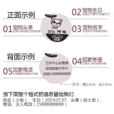 SKEINS（配铃铛）刻字防丢失吊牌黄铜铃铛猫咪项圈泰迪狗狗项圈铜铃铛脖圈宠物铃铛可调节铃铛颈圈 单个钢色刻字猫牌（配红绳一根）